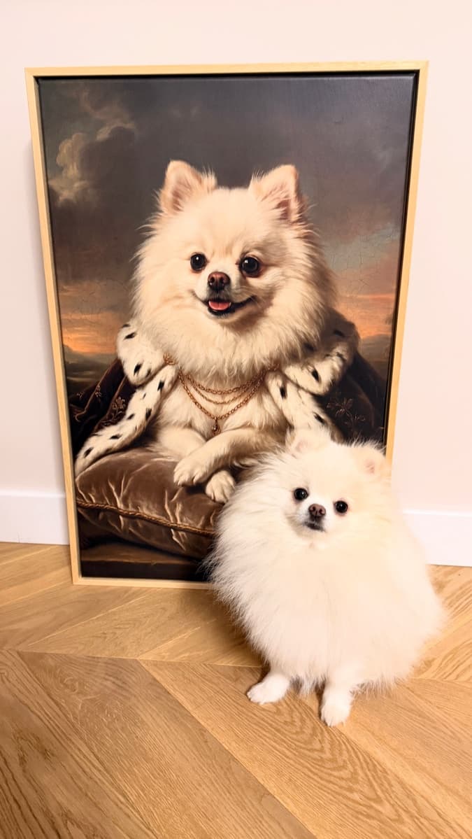 Portret pomeranianów w ramie, obok pies pozujący na podłodze